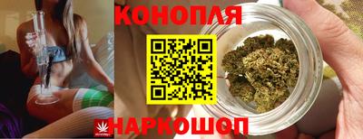 ешки Кинель