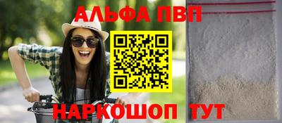 крисы Можга
