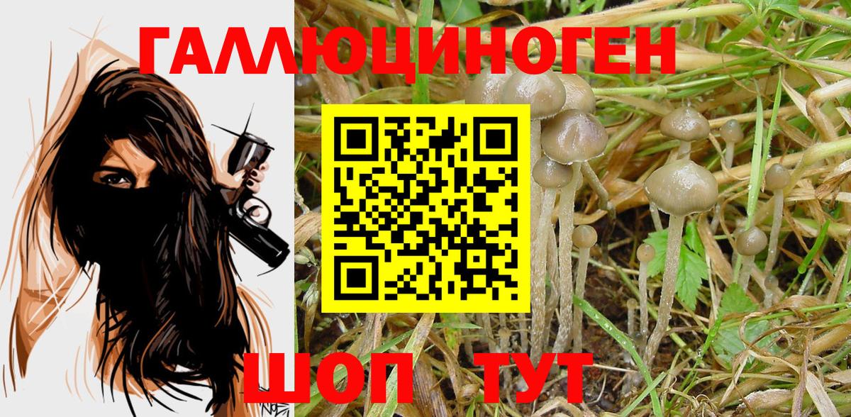 Туймазы  как найти закладки  Вход с VPN  Псилоцибиновые грибы GOLDEN TEACHER 